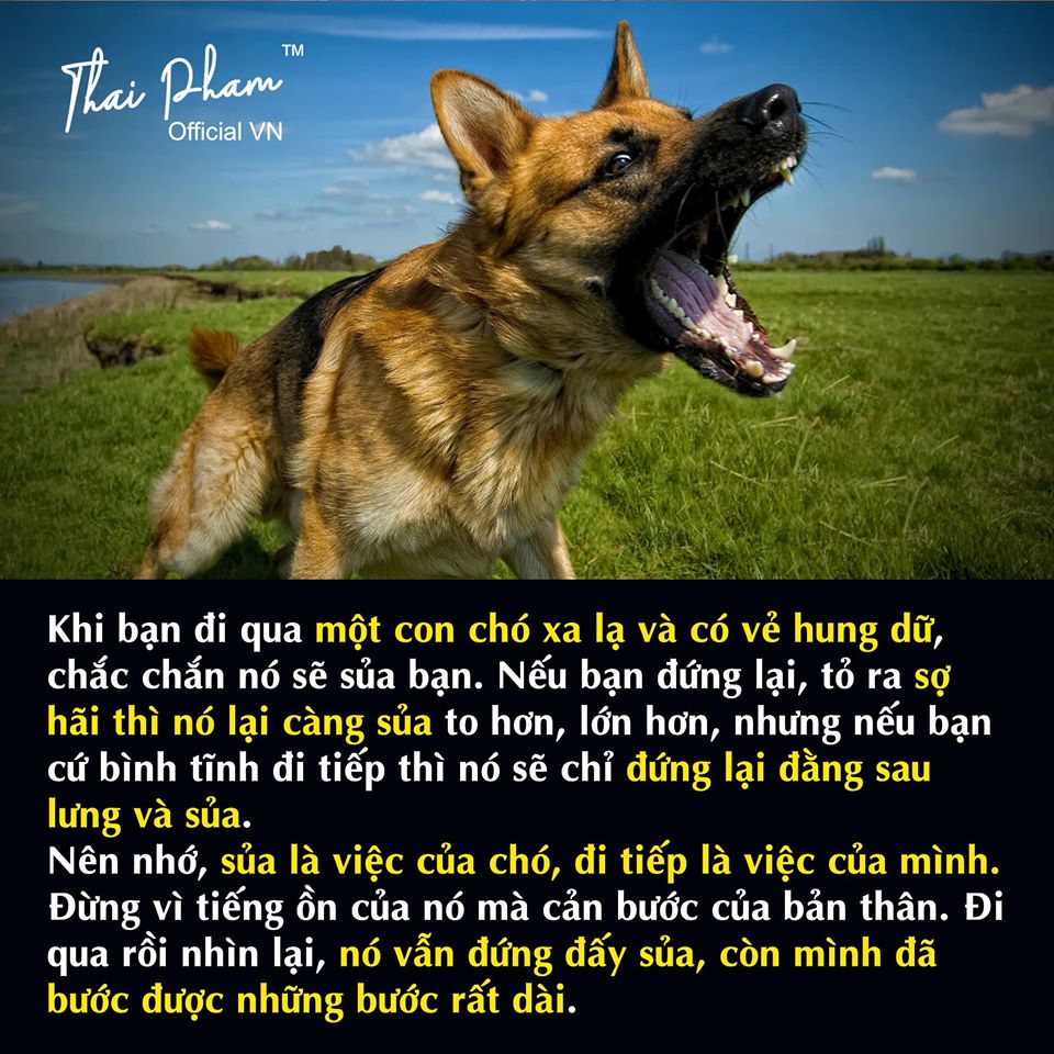 Chó Cứ Sủa Đoàn Người Cứ Đi – Thái Phạm Blog