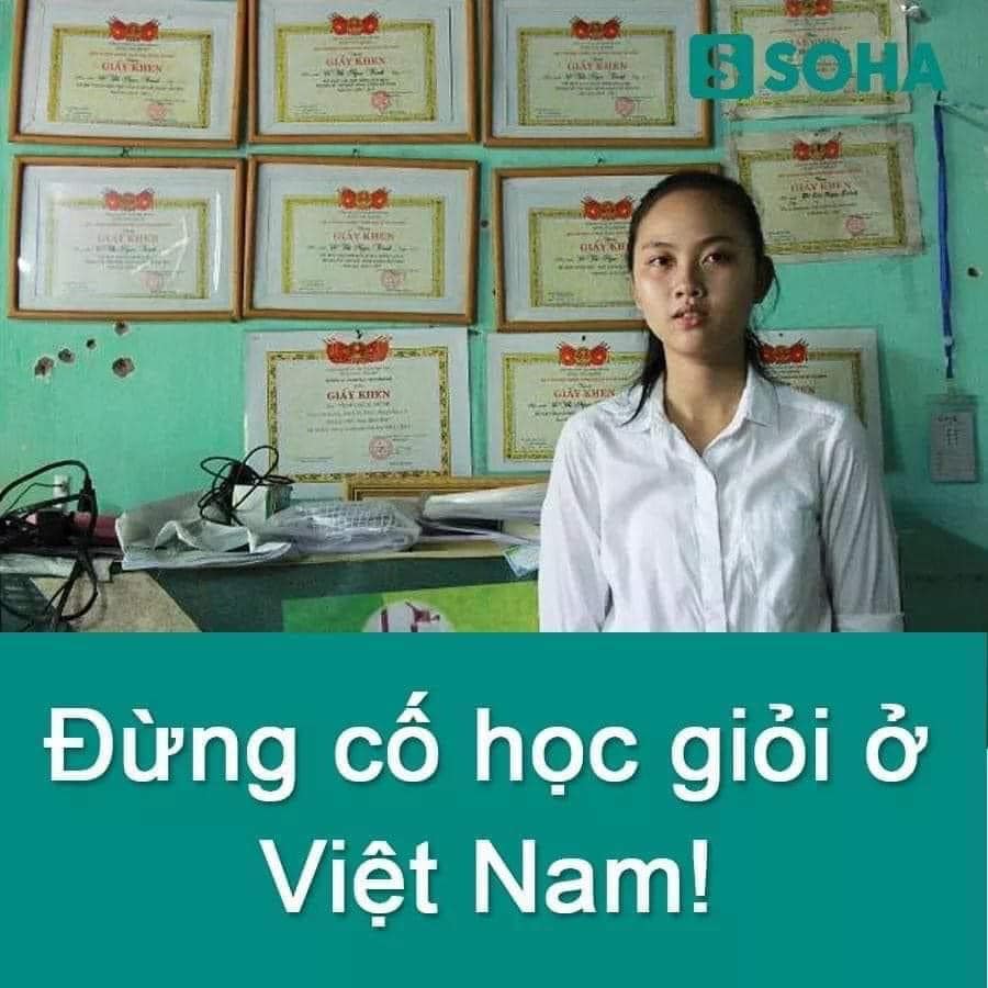 Đừng cố học giỏi ở Việt Nam