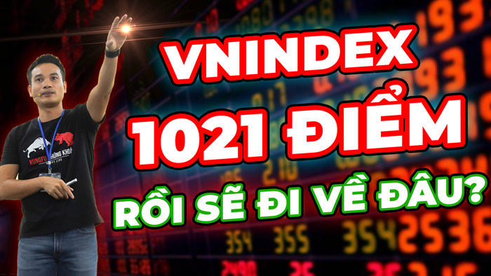 Thị trường chứng khoán VNINDEX sau 1021 điểm sẽ đi về đâu?