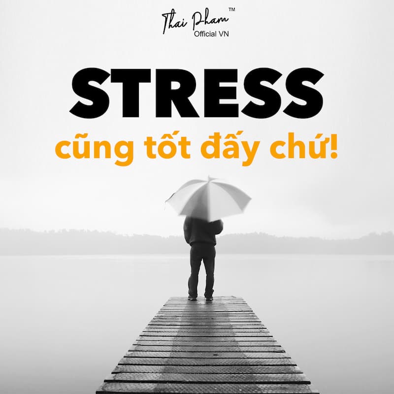 STRESS CŨNG TỐT ĐẤY CHỨ
